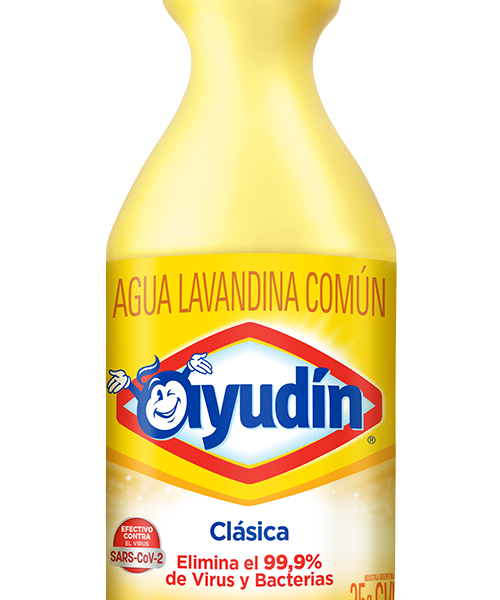 AYUDIN 1L
